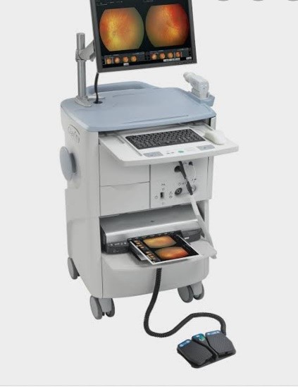 Figure 1a- Retcam